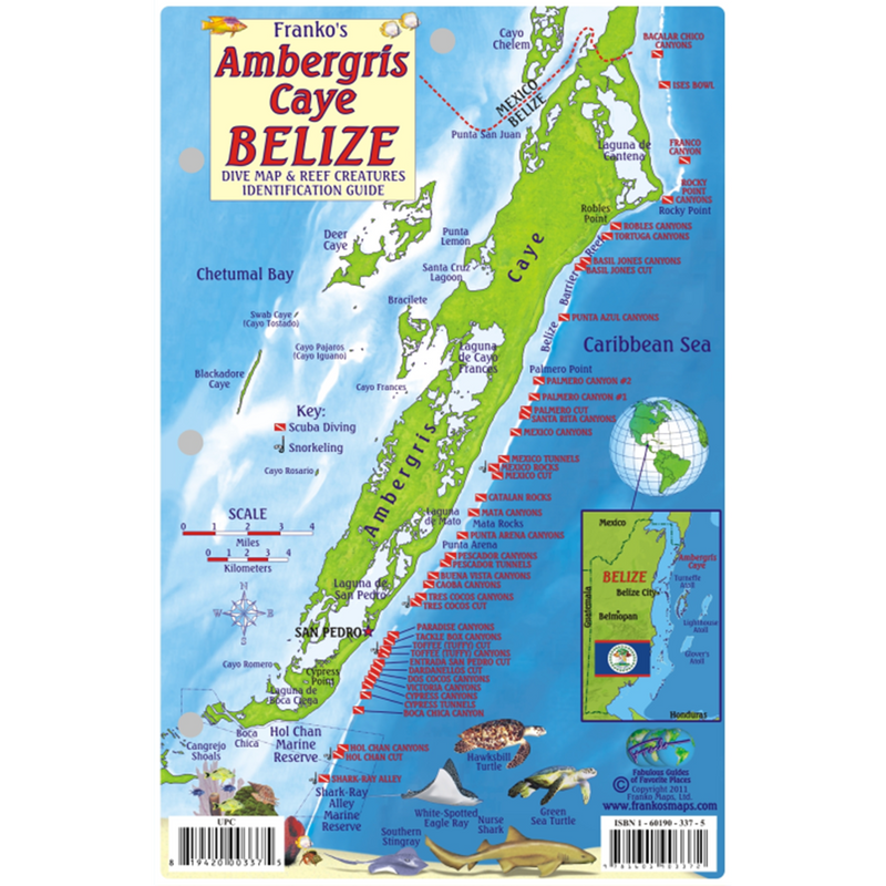 Franko Maps Belize Ambergris Caye Dive Creature Guide 5.5 X 8.5 Inch ...