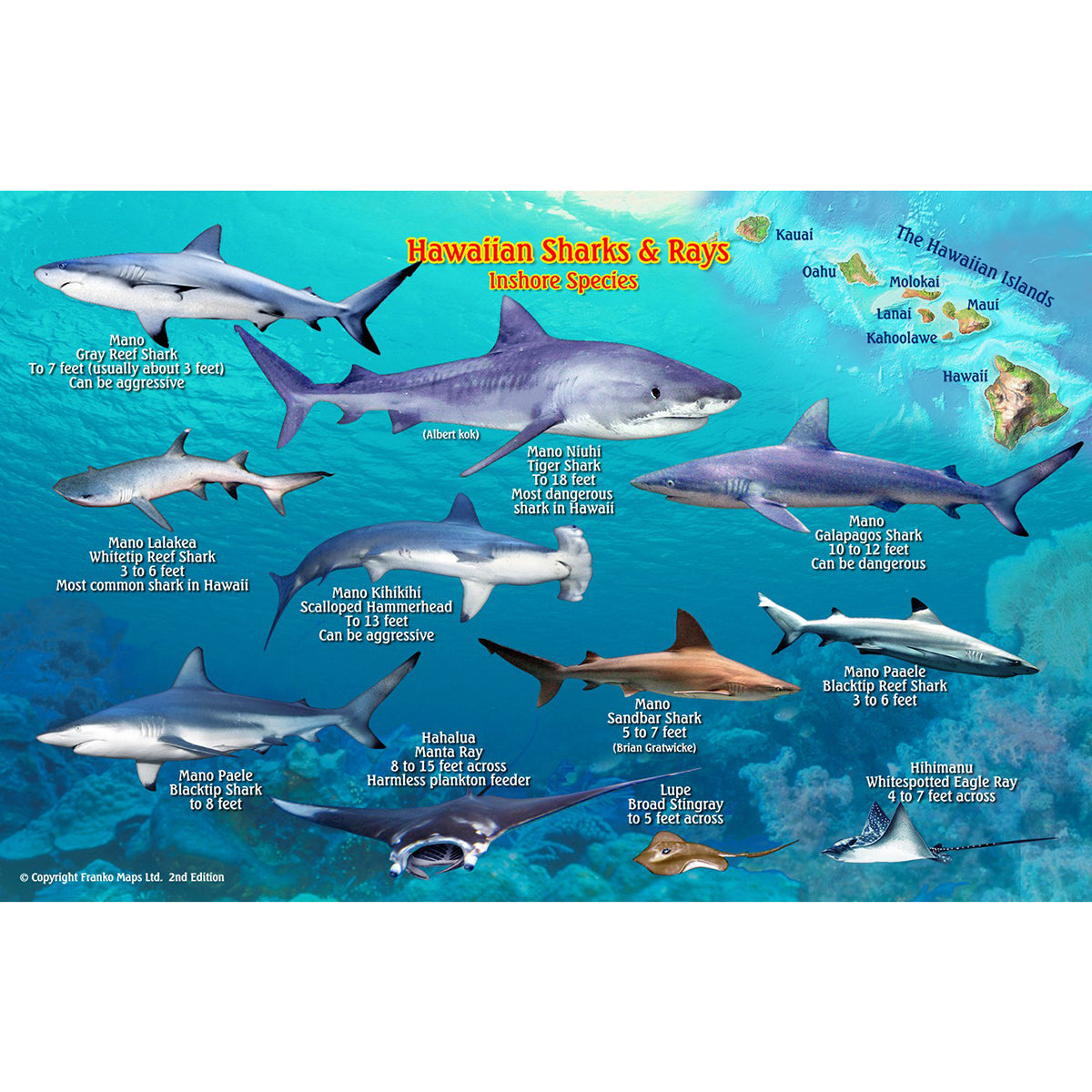 hungry shark evolution map hawaiian islands 2d
