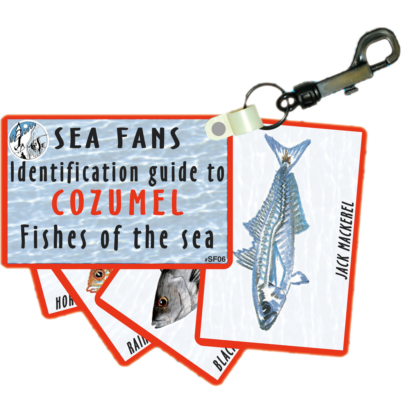 Waterproof Fish ID Fan Deck With Swiveling Snap Hook, Cozumel – 