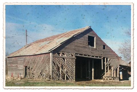 barn tin roof