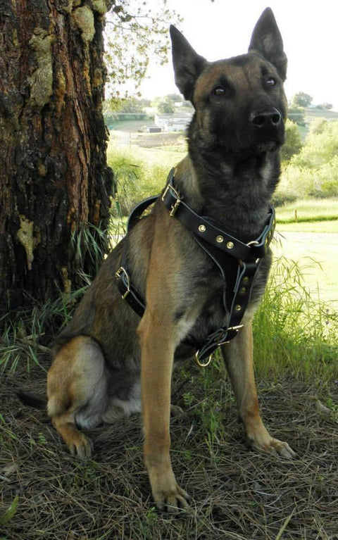 Leather Working Harness – K9 Tactical Gear