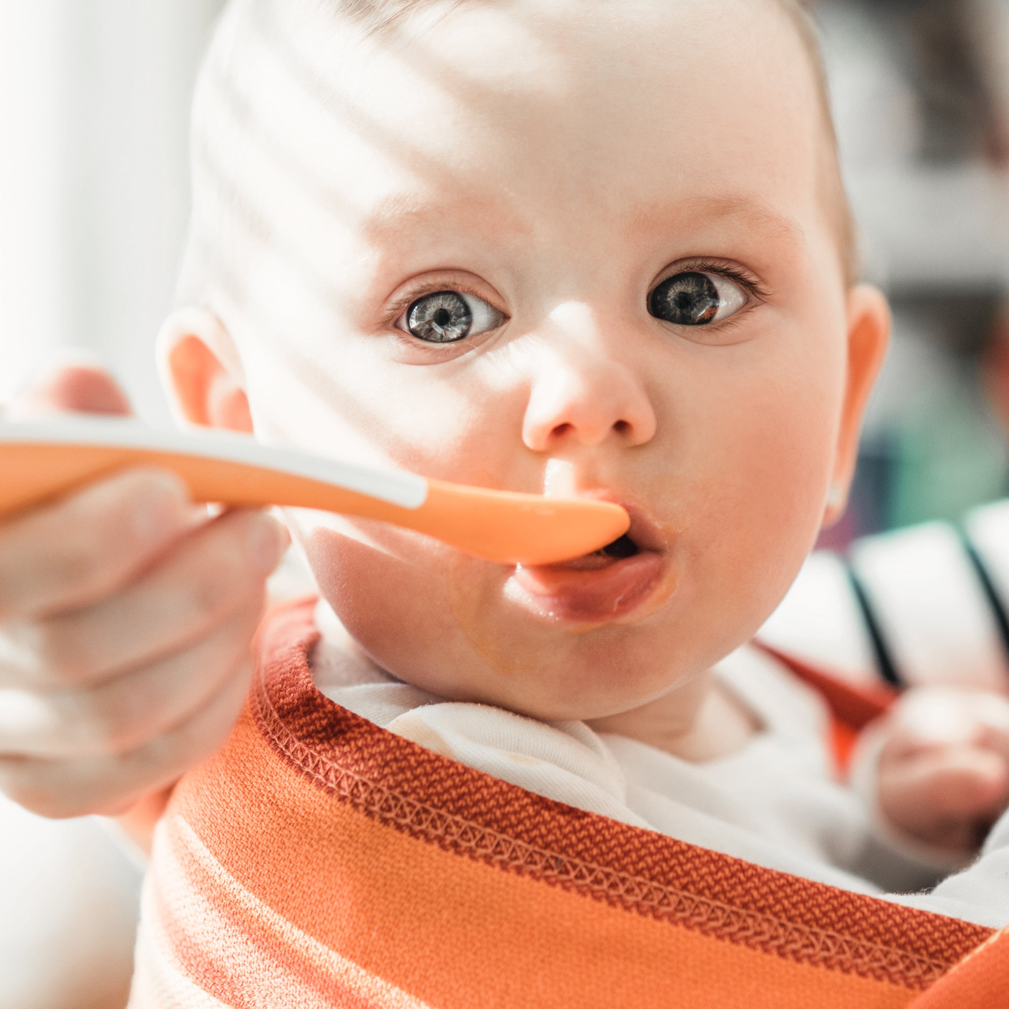 Diversification Alimentaire : C'est Quand Le Bon Timing Pour Débuter ? -  Joone