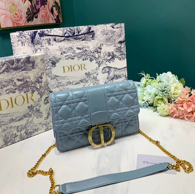 Dior Women Shopping Leather Crossbody Satchel Shoulder Bag green