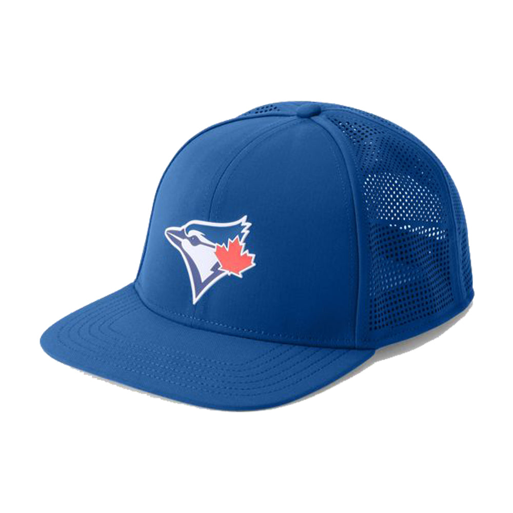 royal blue under armour hat