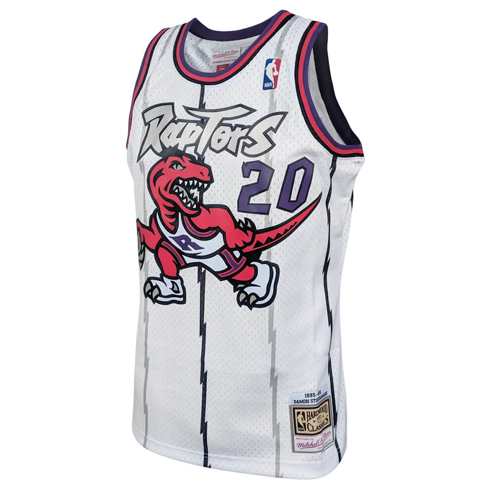 raptors swingman jersey