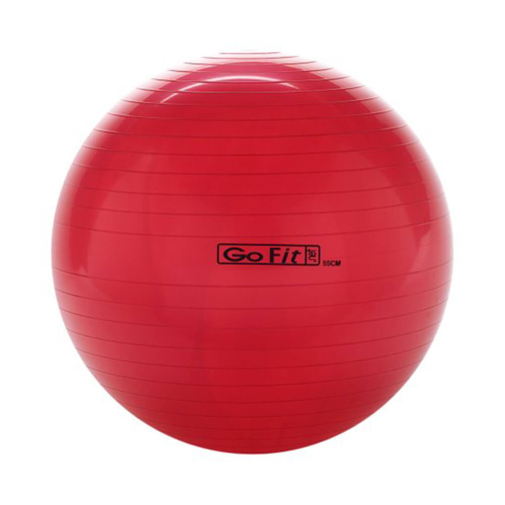 GOFIT 55CM EXERCISE STABILITY BALL