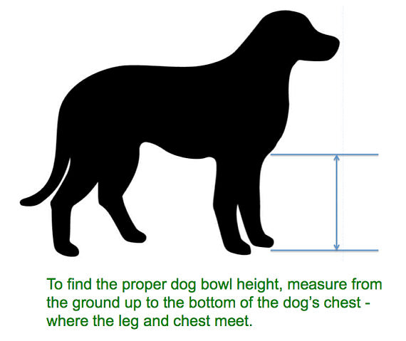 dog feeder height