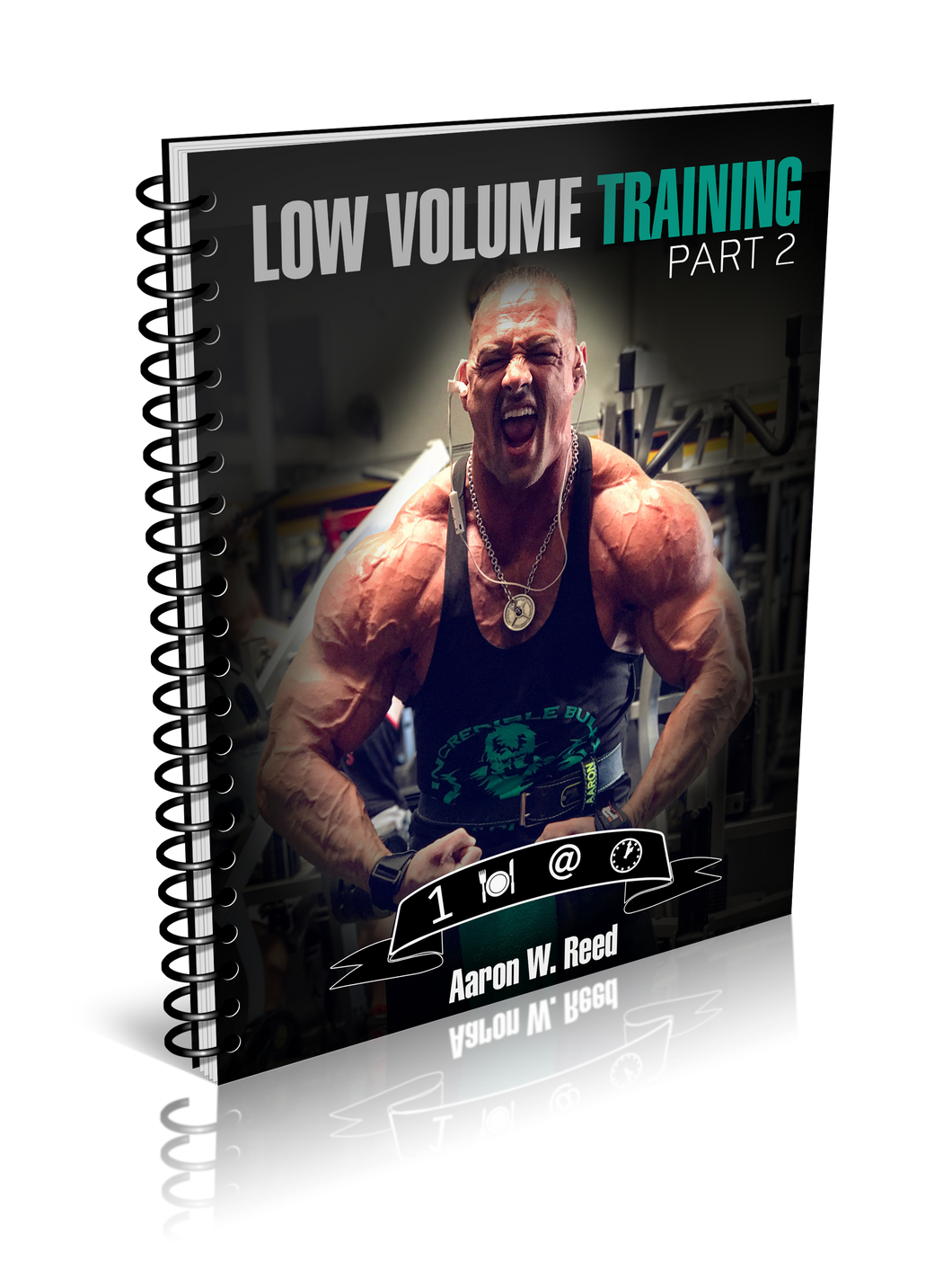 Aaron Reed S Low Volume Workout 2