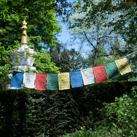 Hand-printed Cotton Windhorse Prayer Flags 1.5m