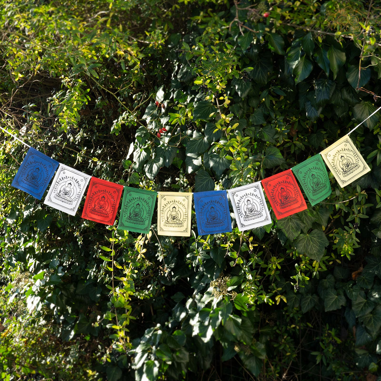 Medicine Buddha Prayer Flags 9x12cm, 1m