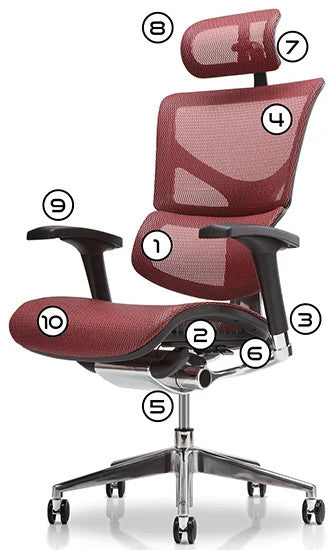 X-Chair Specification Diagram