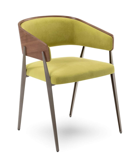 elite-modern-aria-dining-chair-6022517096491_345x345@2x.jpg?v=1658735111