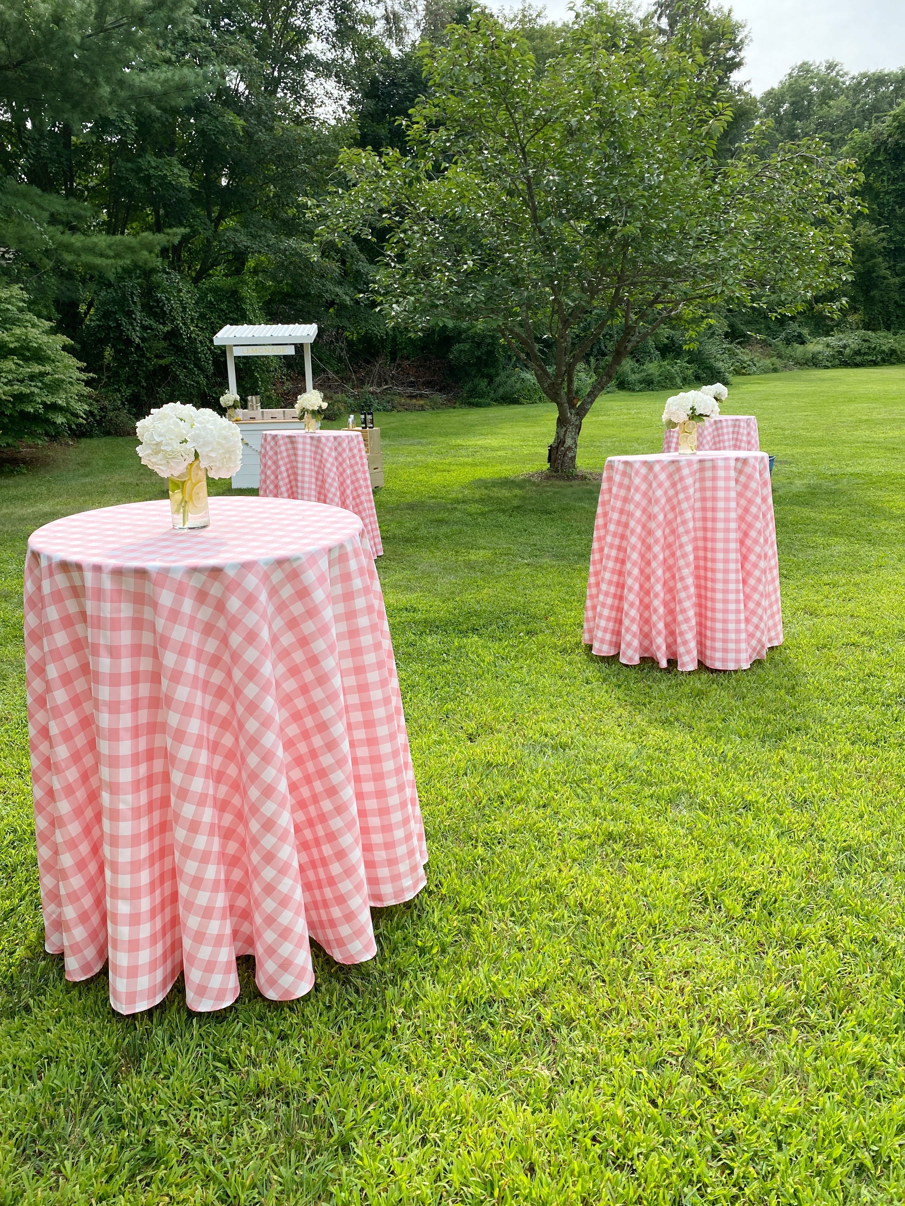 outdoor baby shower tables with pink gingham tablecloths