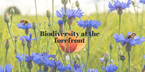 biodiversity at the forefront