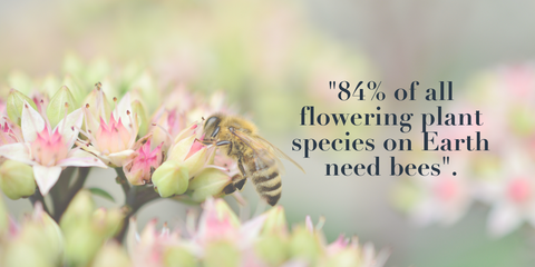 84% of plants need our bees
