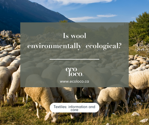 is wool ecological?