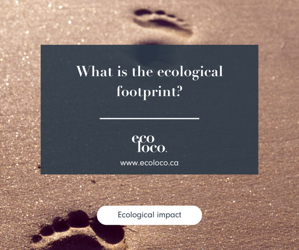what is the ecological foot print