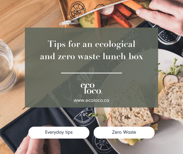 ecological zero waste lunch box