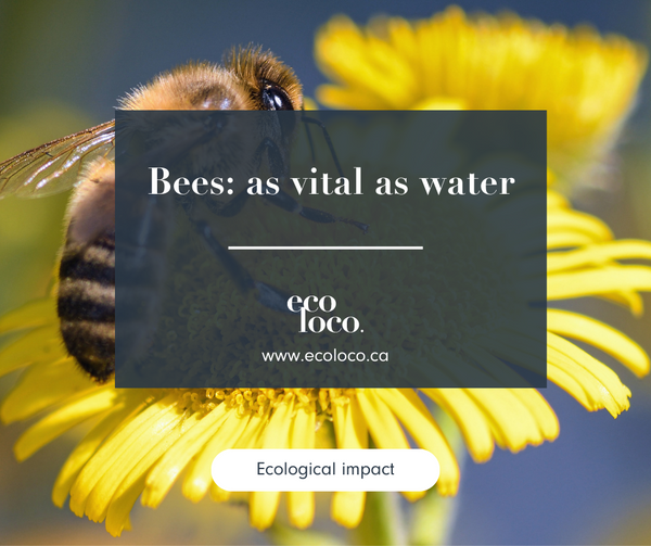 bees as vital as water
