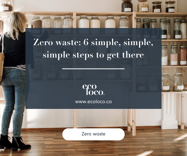 zero waste 6 simple steps