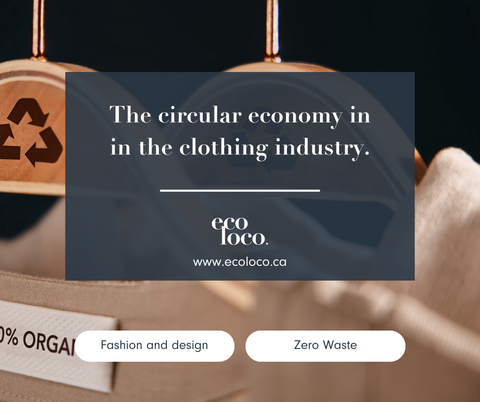 circular economy ecological clothing