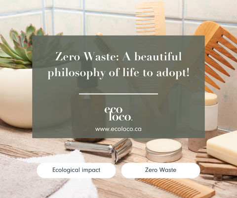 zero waste a life to adopt