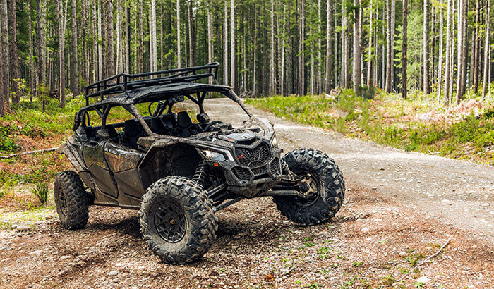 Utv Windshield