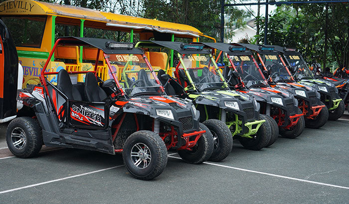 Utv Windshield