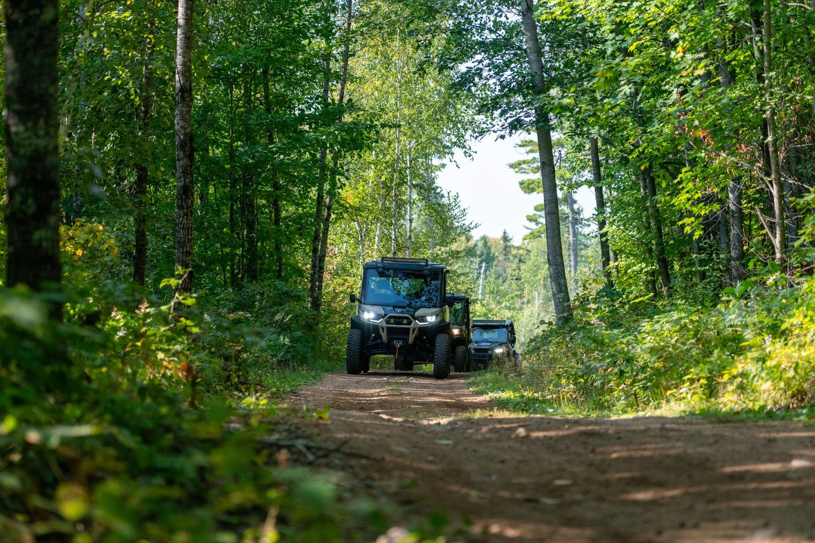 Two off-road vehicles driving on a dirt trail surrounded by dense green forest.