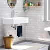 30" Neola Wall-Mount Vitreous China Sink with Steel Towel Bar