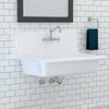 36” Edeline Enameled Cast Iron Wall Mount Bathroom Sink