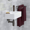 Aulis Vitreous China Wall-Mount Sink