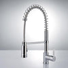 Picture of Carlow Kitchen Faucet with Spring Spout
