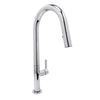 Carter Single Handle Kitchen Faucet with Pull-Down Sprayer