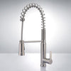 Cavan Kitchen Faucet with Spring Spout