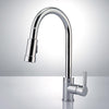 Picture of Doolin Single-Hole Pull-Down Kitchen Faucet