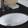 Picture of Gorham Vitreous China Oval Undermount Sink - White