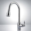 Picture of Hawes Single-Hole Pull-Down Kitchen Faucet
