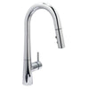 Lorraine Single Handle Pull-Down Kitchen Faucet