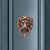 Miniature Lions Head Door Knocker