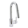 Paisley Single Handle Kitchen Faucet with Pull-Down Sprayer