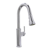 Robin Single Handle Kitchen Faucet with Pull-Down Sprayer