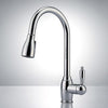 Picture of Teelin Single-Hole Pull-Down Kitchen Faucet