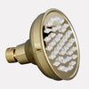 Picture of Thornton Rainfall Nozzle Shower Head