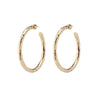 1.5" Hailey Baby Hoops