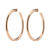 2" Natasha Hoops