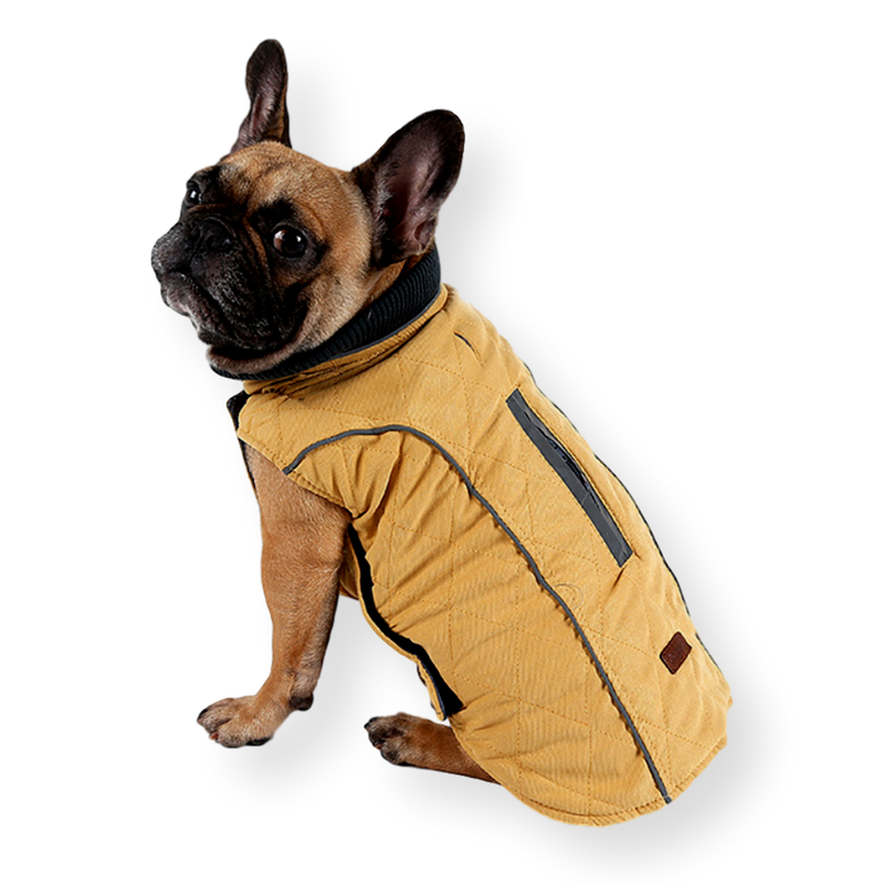 Oneroa Padded Dog Vest Mustard X-Large 44cm – Pet Connect NZ