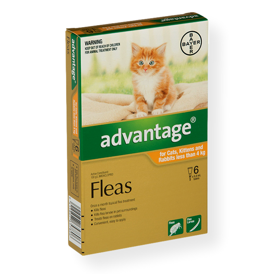 Advantage Spot On Small Cat Flea Treatment 0 4kg Pet Connect Nz