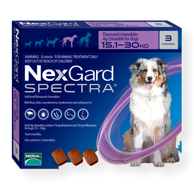 nexgard spectra dog flea treatment