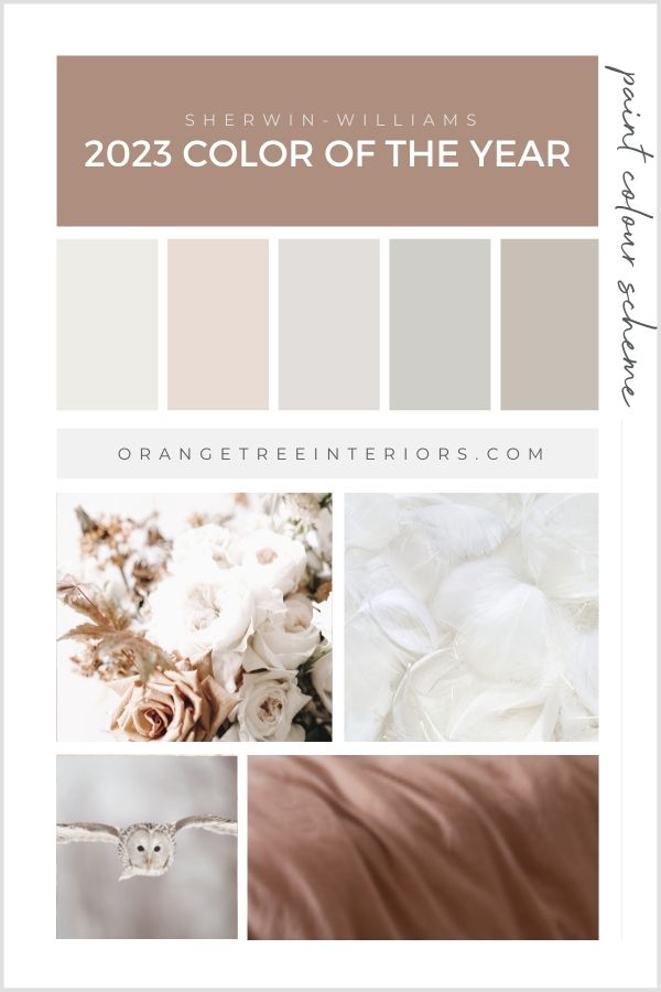 2023 Color of the Year Home Paint Colour Scheme